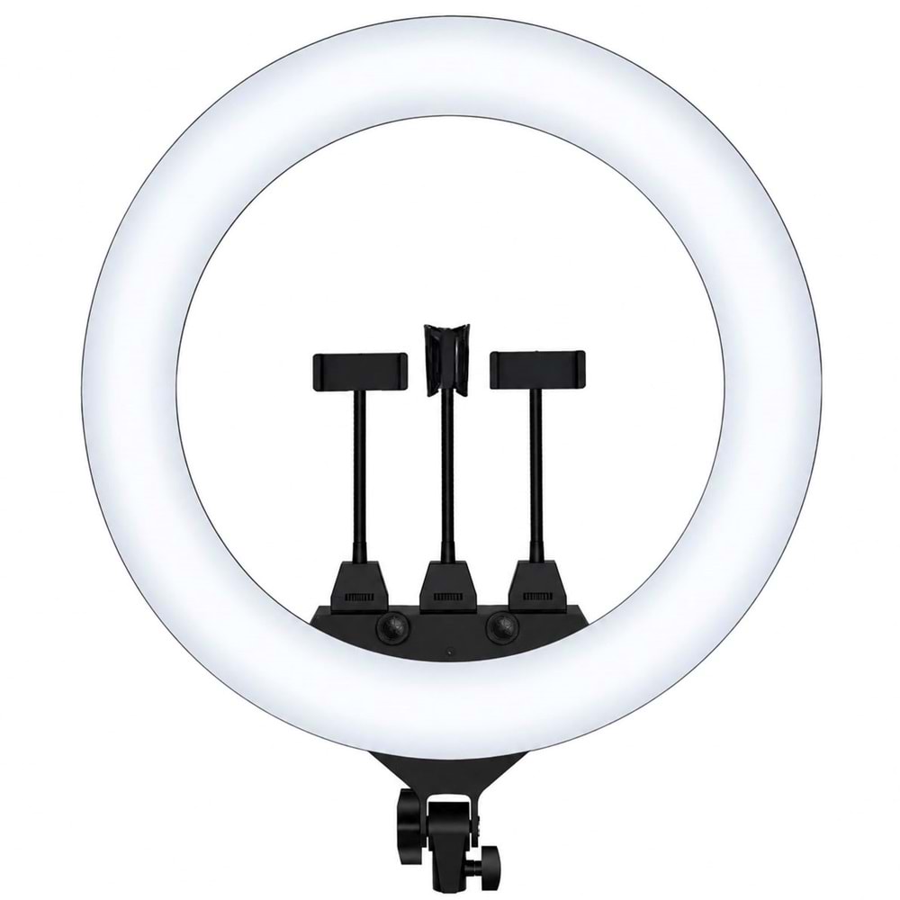 BLIC ZB-F488 22INCH 110-240V RINGLIGHT