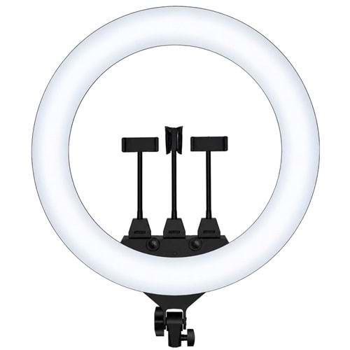BLIC ZB-F488 22INCH 110-240V RINGLIGHT